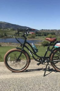 E-bike rental with the Lazy bum and pinot tour