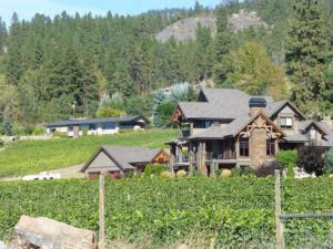 A house with a vineyard in Okanagan Valley