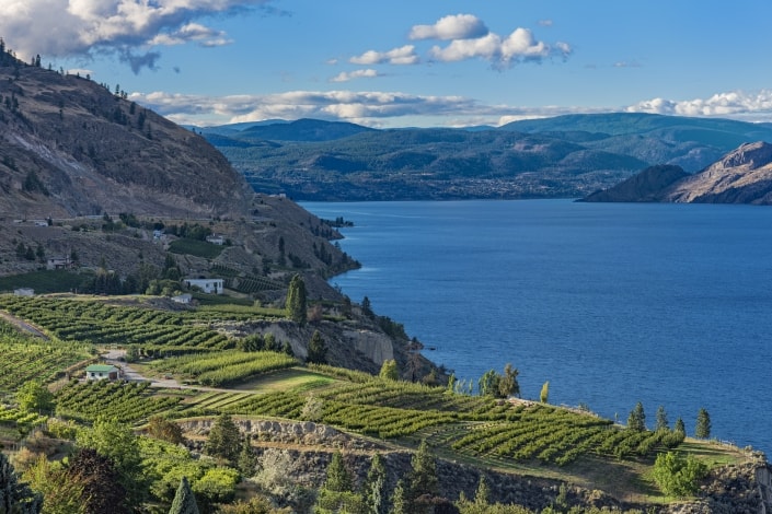 a view of summerland wineries overlooking Okanagan Lake