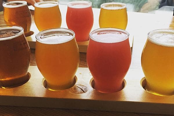 Kelowna Brewery Tour beer flights